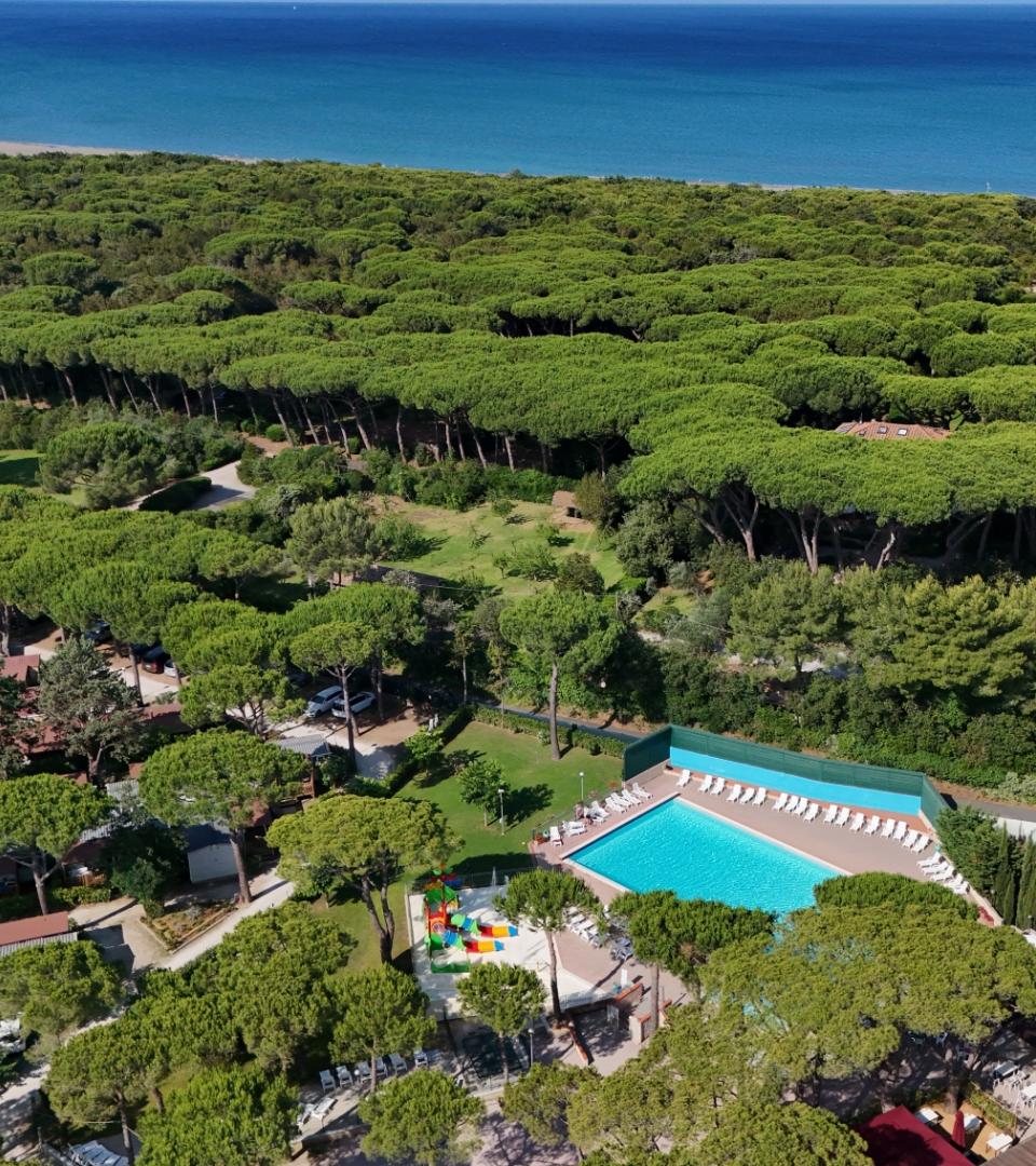 Vista aerea di pineta lussureggiante, piscina azzurra e mare scintillante all'orizzonte.